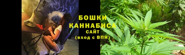 дурь Горно-Алтайск