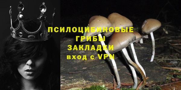 PSILOCYBIN Горнозаводск